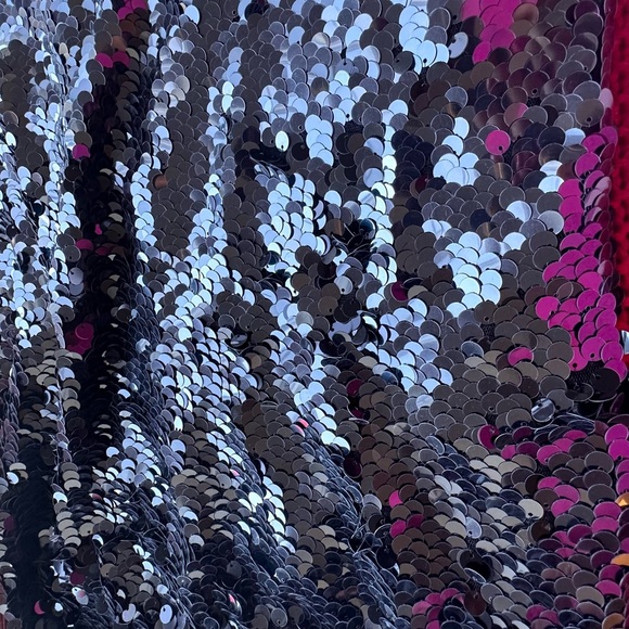 Sequin Skirt - Picture 3 of 12